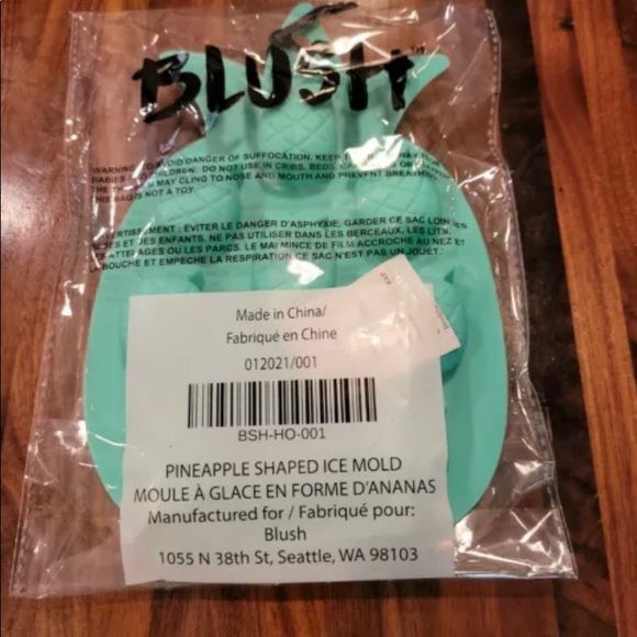 🆕 NEW Blush Pineapple Ice Mold - Picture 2 of 3